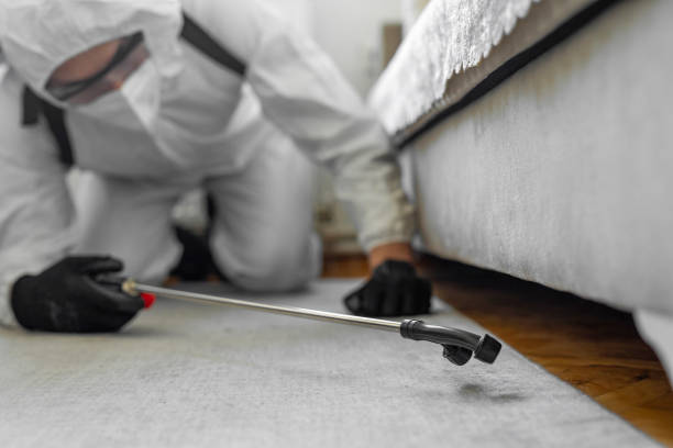 Professional Bed Bug Control technician working in Madisonville, TX