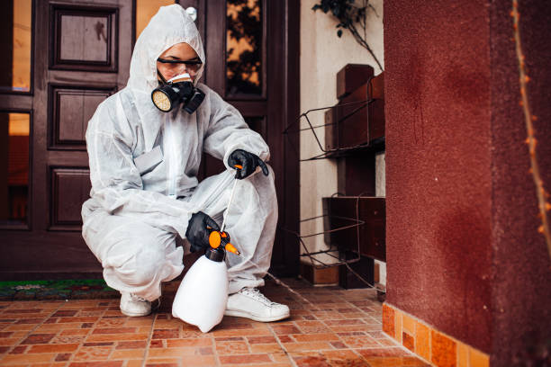 Reliable Bed Bug Control contractor in Madisonville, TX by Nex Pest Control