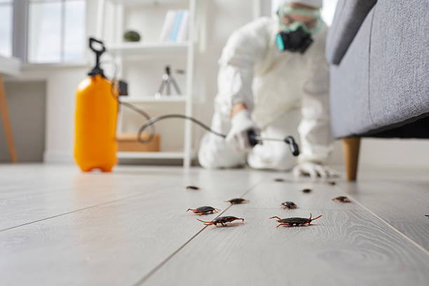 Trusted Termite Control service in Madisonville, TX - Nex Pest Control