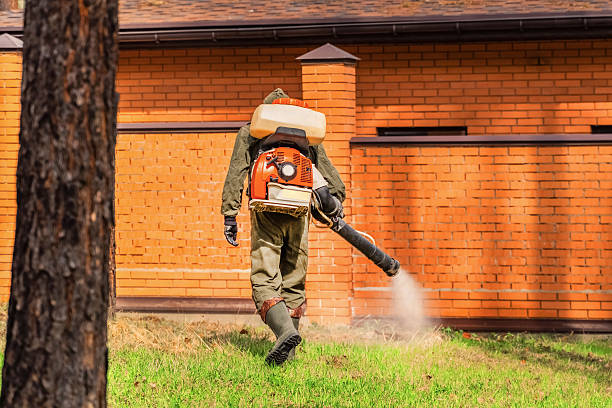Trusted Cockroach Control service in Madisonville, TX - Nex Pest Control